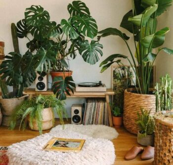 Jungle-urbaine