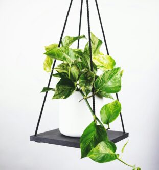 Projets de Bricolage Maison